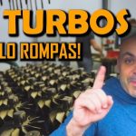 Cuanto cuesta cambiar luces led renault megane