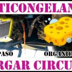 Descubre qu&eacute; es el badge Limited de Renault en solo 70 caracteres