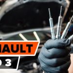 A quien se parece el holograma de renault