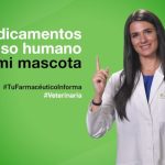 ¡Atención! Penas máximas en España por tráfico de drogas