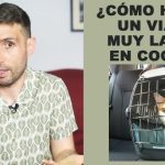 ¿Recuerdas al coche fantástico? Ahora puedes tener su camión en tu garaje