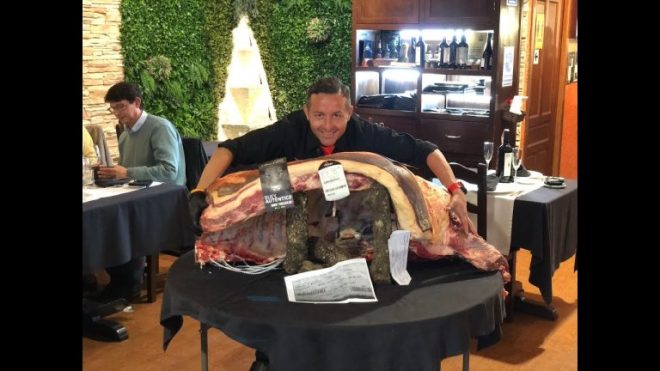 Descubre al buey m&aacute;s gigante de Espa&ntilde;a en una granja en el norte