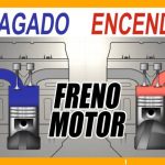 Revive tu coche: ¡Limpia el motor por debajo y devuelve su esplendor!