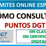 C&oacute;mo ahorrar dinero en tasas de tr&aacute;fico para renovar el carnet de conducir