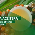 ¿Dónde hacer el examen práctico de conducir? Descubre la ubicación en 70 caracteres.