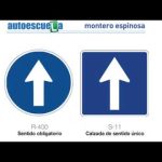Convierte tus problemas en soluciones: Adaptadores para personas bajas en el coche