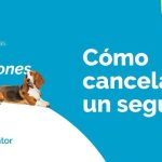¿Cuando bajará el precio del gasoil? Descubre las predicciones
