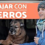 &iquest;Sab&iacute;as que la presi&oacute;n de las ruedas del coche influye en tu seguridad?