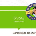 Cuantos litros de combustible carga una renault combi de pasajeros
