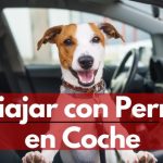 Aprende c&oacute;mo cargar la bater&iacute;a de tu coche en marcha: Consejos eficaces