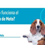 &iquest;Cu&aacute;nto consume un Citro&euml;n C3? Descubre su eficiencia en carretera