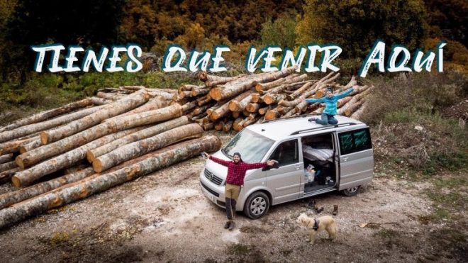 Descubre la impresionante Selva de Irati en la comodidad de tu coche: &iexcl;Rutas inolvidables!