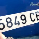Asegura tu auto por días con los mejores seguros de coche