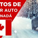 Descubre el precio medio de tu seguro de coche en segundos