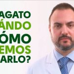 Descubre cu&aacute;nto puedes dar en un control de alcoholemia en 2022